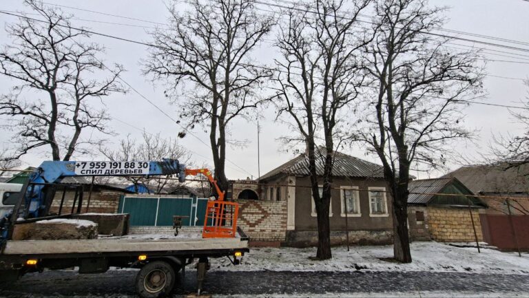Валка деревьев с вышки
